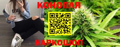 apvp Кингисепп