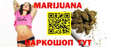 apvp Кингисепп