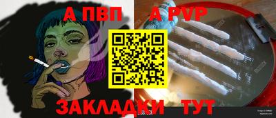 apvp Кингисепп
