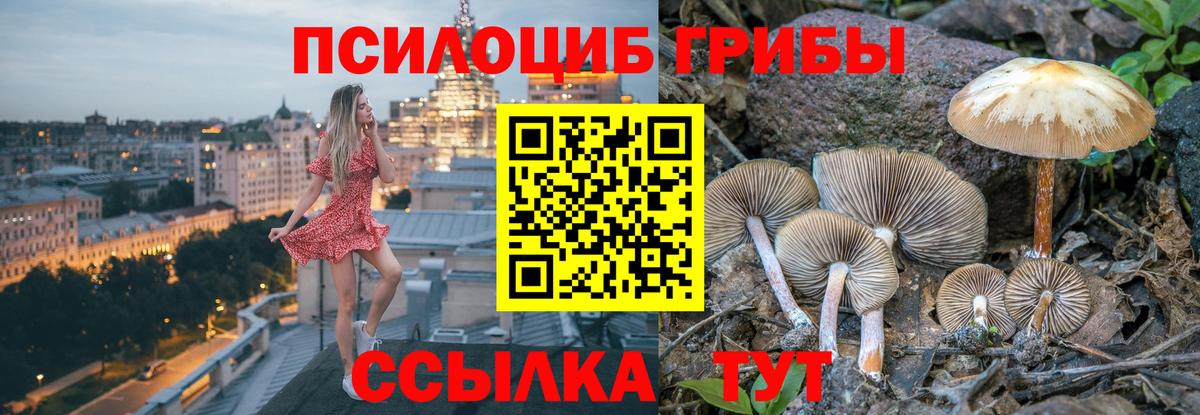 Галлюциногенные грибы ЛСД  Галлюциногенные грибы MAGIC MUSHROOMS  Зерноград  Вход с VPN 