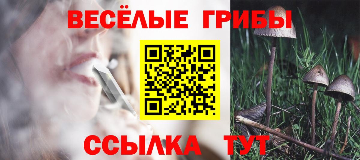 Галлюциногенные грибы мицелий Зерноград